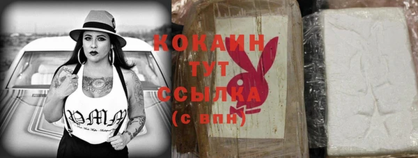 ECSTASY Алзамай