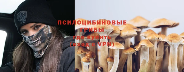 ECSTASY Алзамай