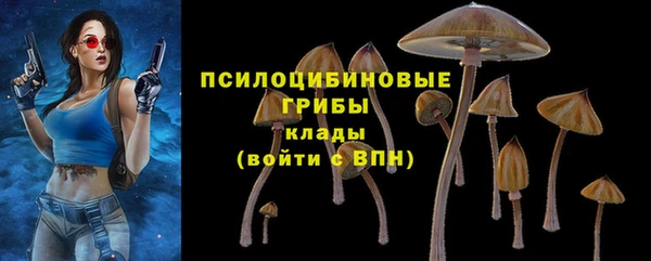 твердый Алексеевка