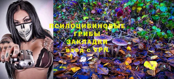 ECSTASY Алзамай