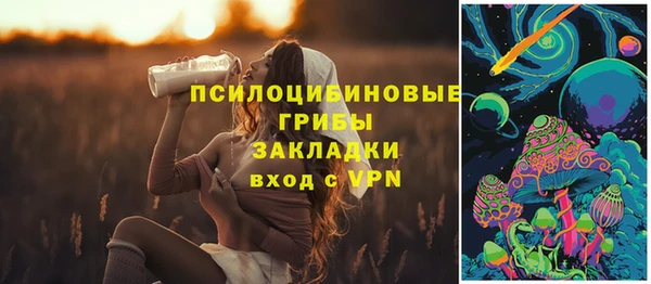 твердый Алексеевка