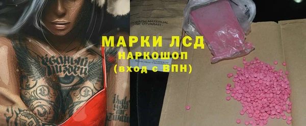 ECSTASY Алзамай
