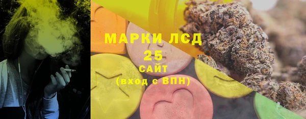 ECSTASY Алзамай