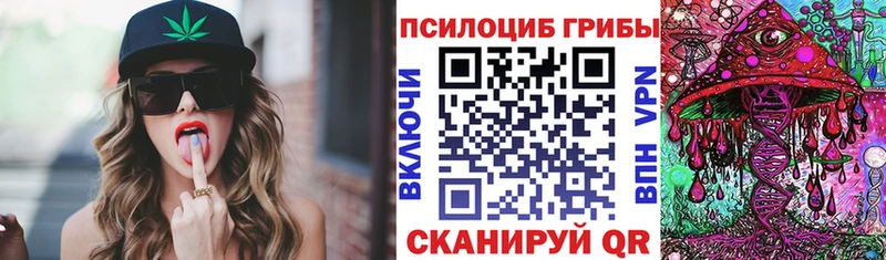 hydra как войти  Завитинск  Галлюциногенные грибы Psilocybe  закладки 